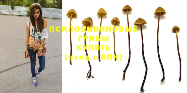 метадон Арсеньев